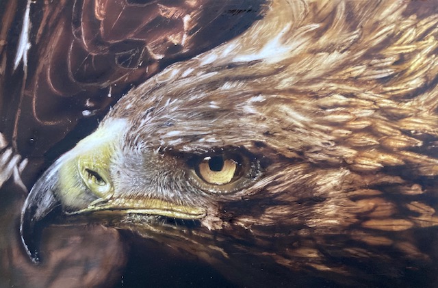 Airbrushed photorealistic painting of Golden Eagle