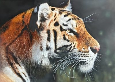 photorealistic tiger